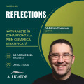 Reflections