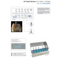 Kit Dentar HORICO Depth Markers ASDM