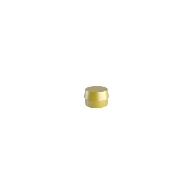 Overdenture OT Cap Ref. 048CON