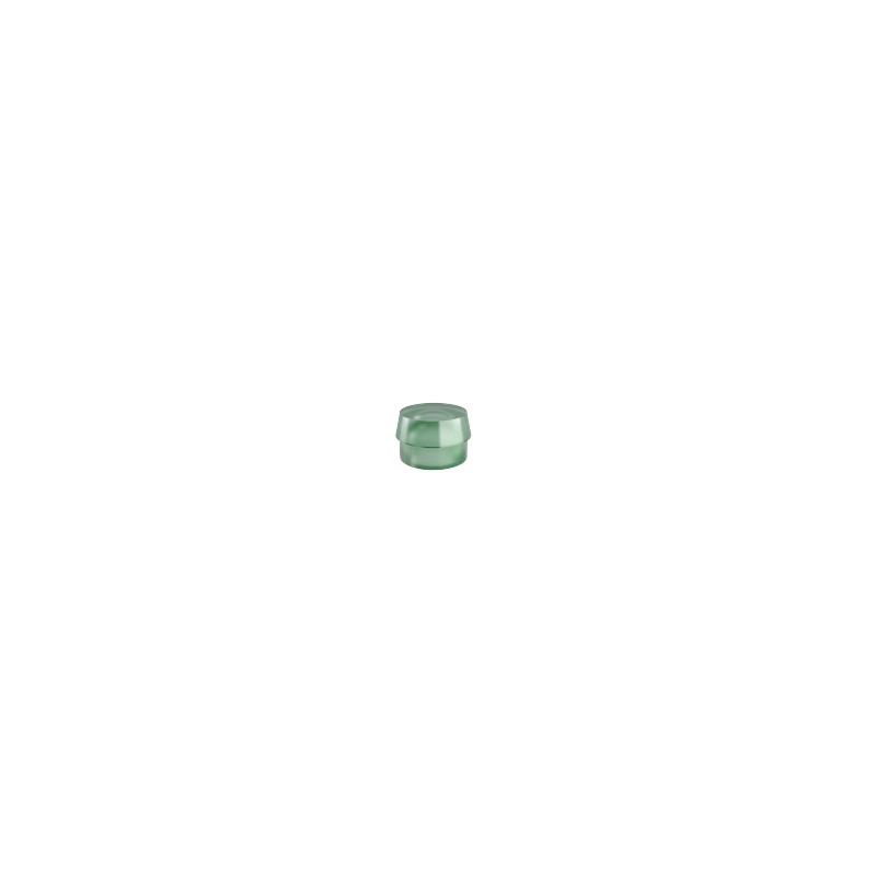Overdenture OT Cap Ref. 049PCN