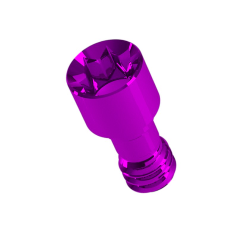 TITANIUM SCREW Ref. 148VCM