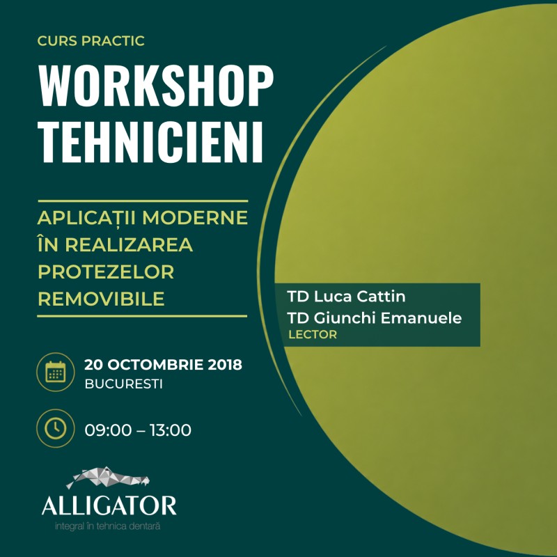 WORKSHOP TEHNICIENI